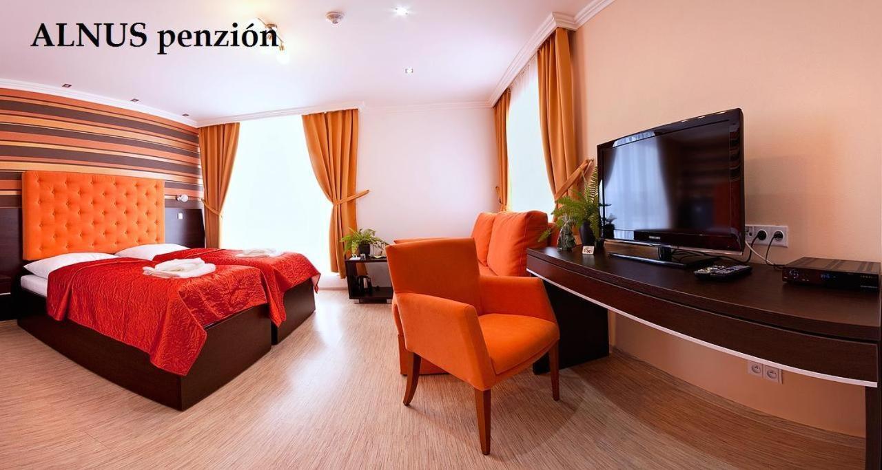 Alnus Penzion Smilno Kamer foto